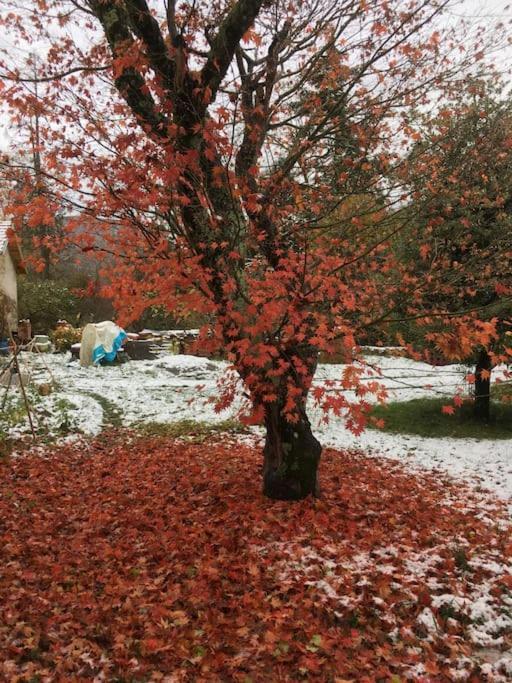 Lerable Pourpre De La Grotte Au Lion Villa Arbon Екстериор снимка