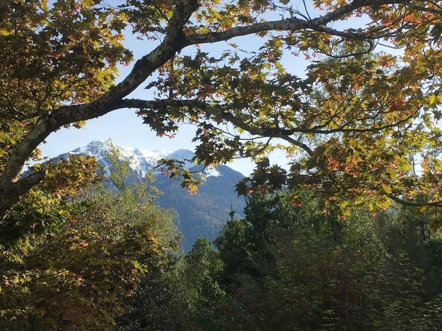 Lerable Pourpre De La Grotte Au Lion Villa Arbon Екстериор снимка